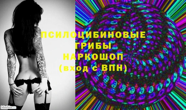 трава Зерноград