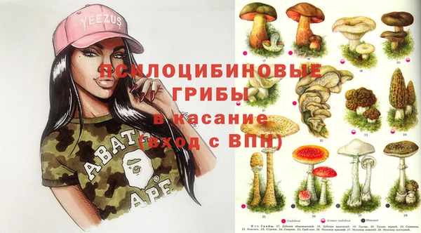 трава Зерноград