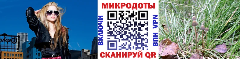 Галлюциногенные грибы мицелий  Купить где  Темрюк 